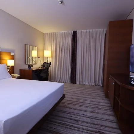 科尼亚希尔顿花园旅馆 酒店 科尼亚