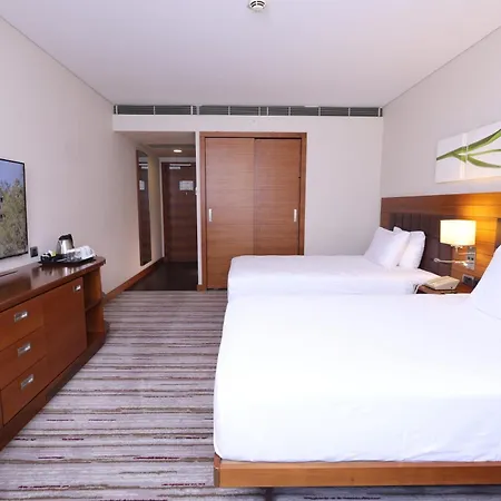 酒店 科尼亚希尔顿花园旅馆 科尼亚