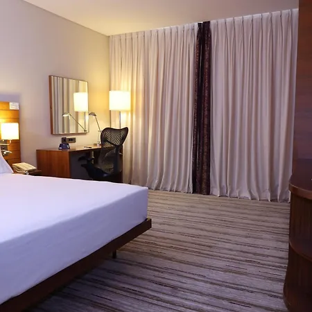 科尼亚希尔顿花园旅馆 酒店