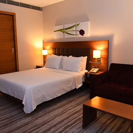 酒店 科尼亚希尔顿花园旅馆